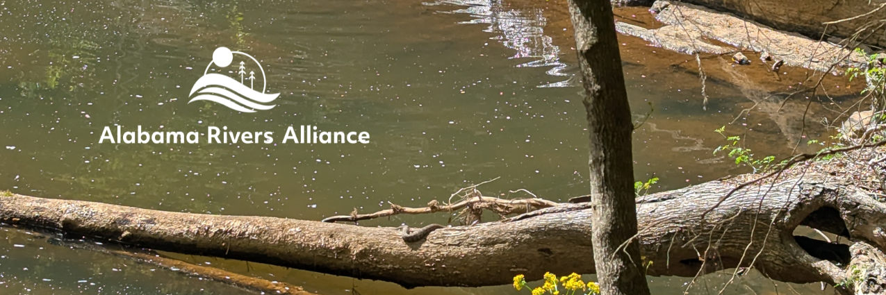 May 2026 newsletter cover image featuring a snake perched on a log over Chewacla Creek